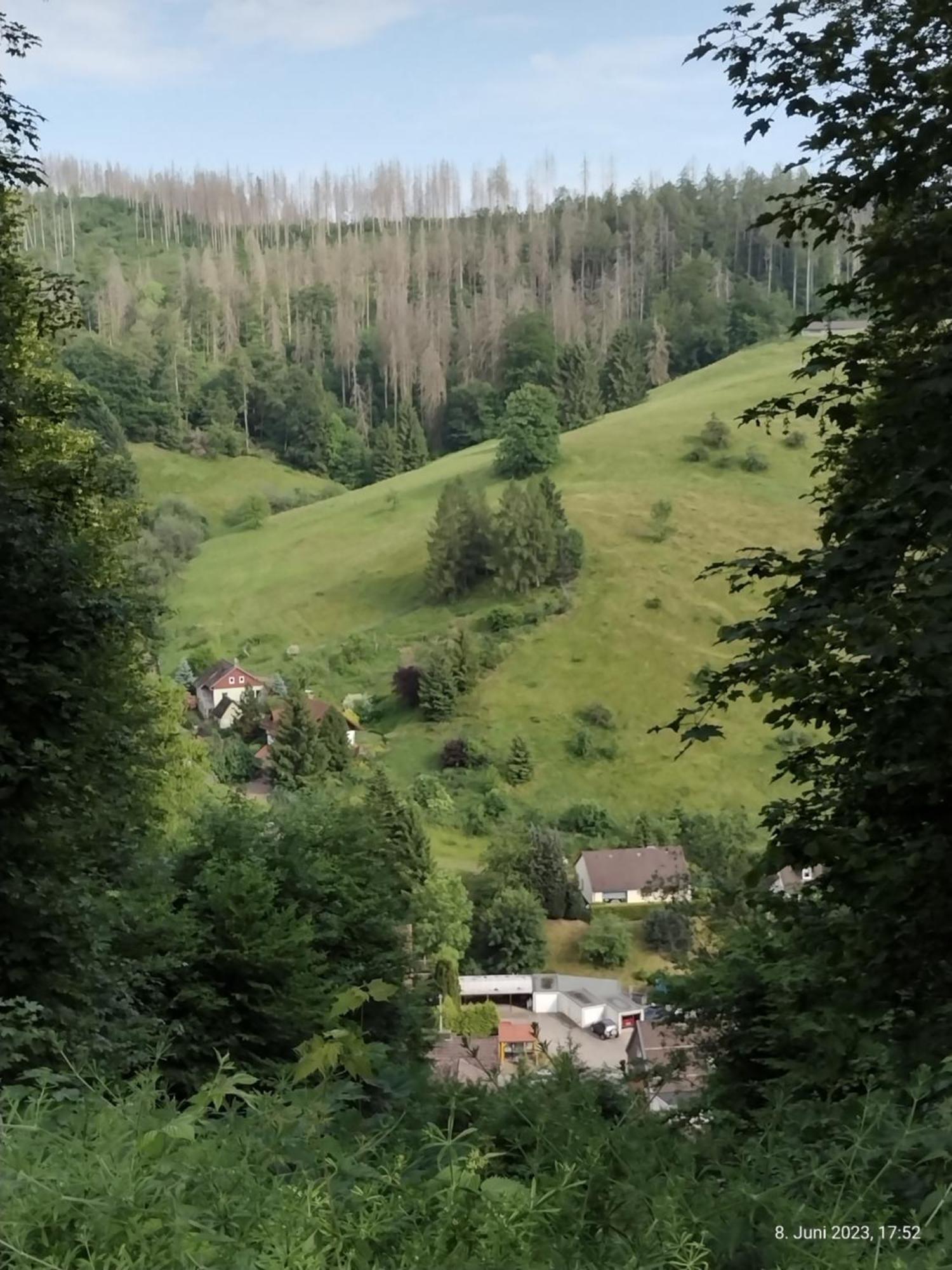 Olifant In Osterode Lägenhet Osterode am Harz Exteriör bild