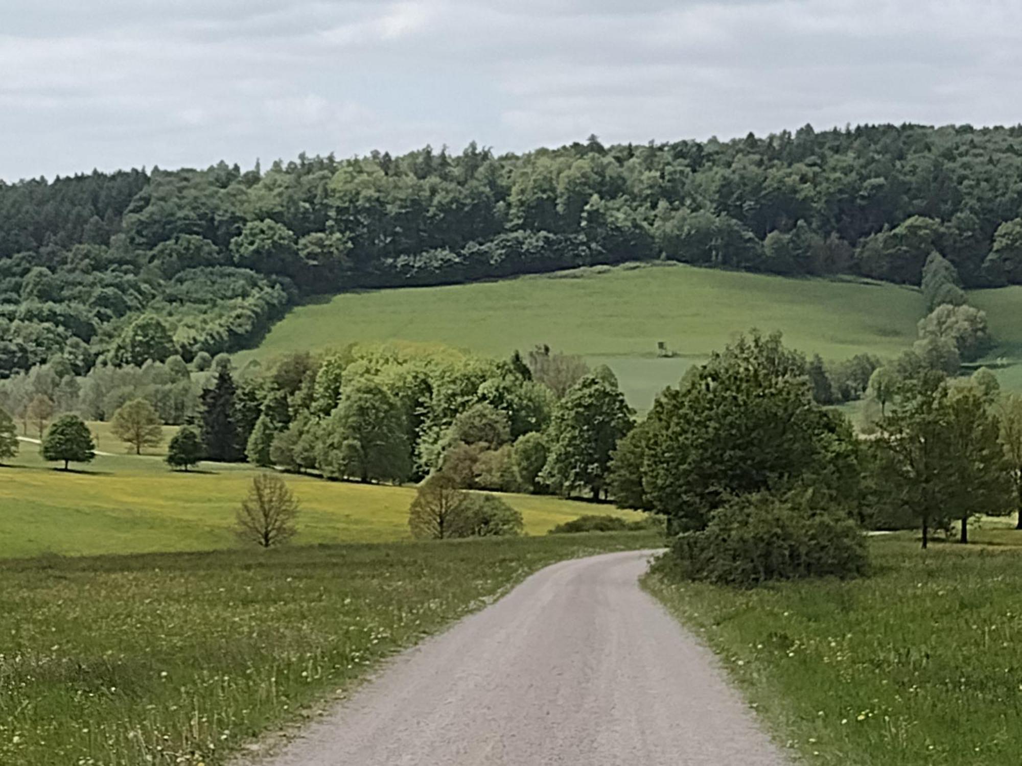 Olifant In Osterode Lägenhet Osterode am Harz Exteriör bild