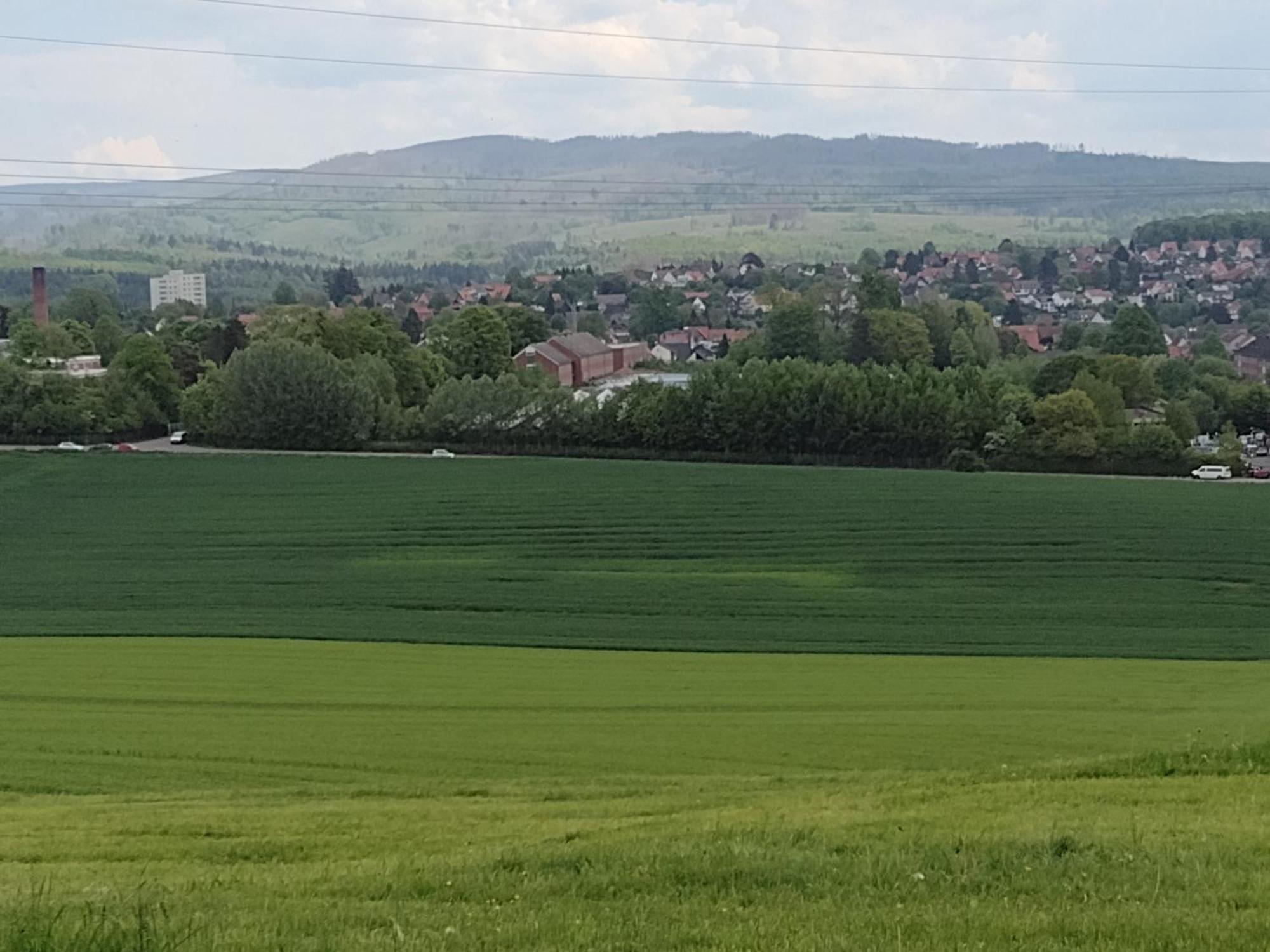 Olifant In Osterode Lägenhet Osterode am Harz Exteriör bild