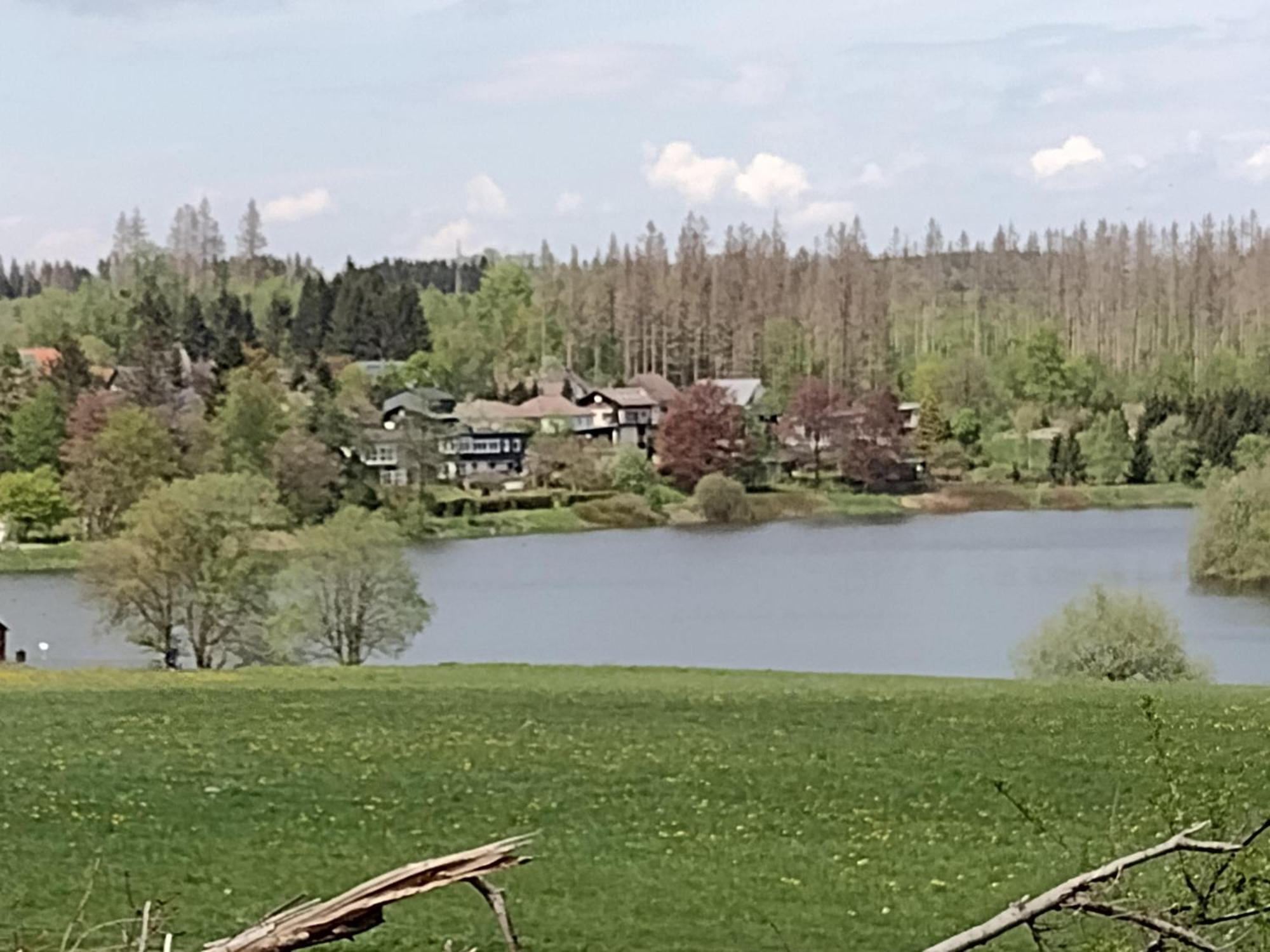 Olifant In Osterode Lägenhet Osterode am Harz Exteriör bild